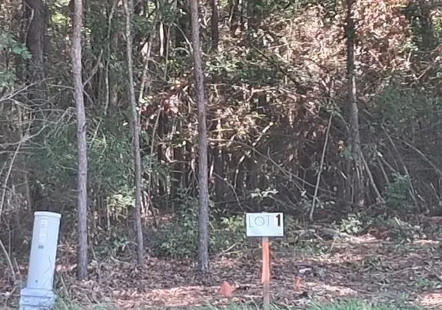 Photo 1 of Land for sale at La 424 Lot 1 Hwy, Franklinton, LA 70438 | MLS# 2577869 | Listing updated on 2026-09-18