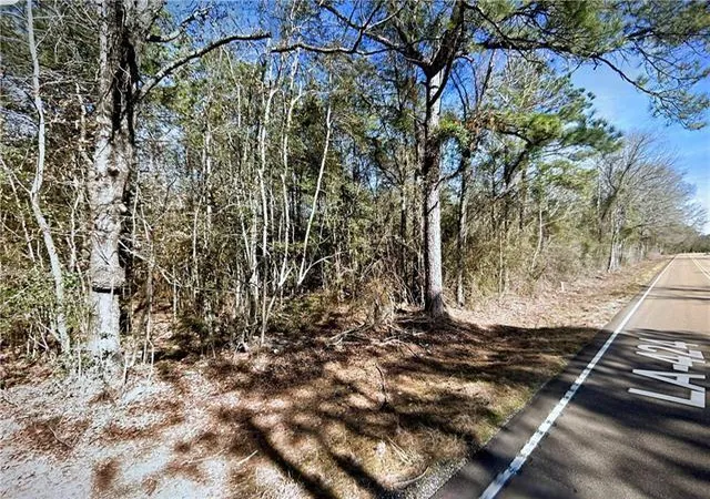 Photo 2 of Land for sale at La 424 Lot 1 Hwy, Franklinton, LA 70438 | MLS# 2577869 | Listing updated on 2026-09-18