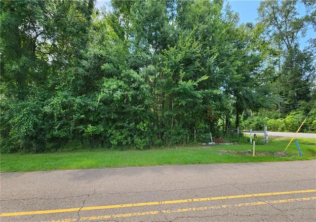 Photo 2 of Land for sale at Th4 A & B Rapatel / Hwy 190 St, Mandeville, LA 70448 | MLS# 2577248 | Listing updated on 2026-09-22