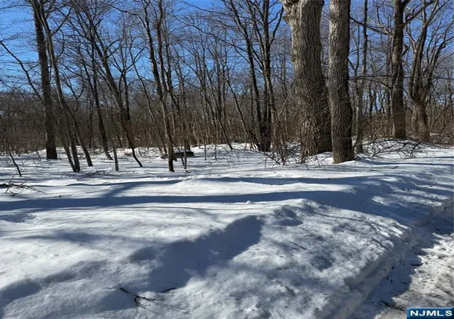 Photo 3 of Land for sale at 15 Saw Mill Rd, Kinnelon Borough, NJ 07405 | MLS# 26004712 | Listing updated on 2026-09-09