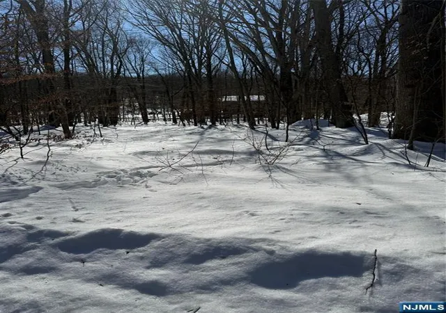 Photo 3 of Land for sale at 15 Saw Mill Rd, Kinnelon Borough, NJ 07405 | MLS# 26004712 | Listing updated on 2026-09-09