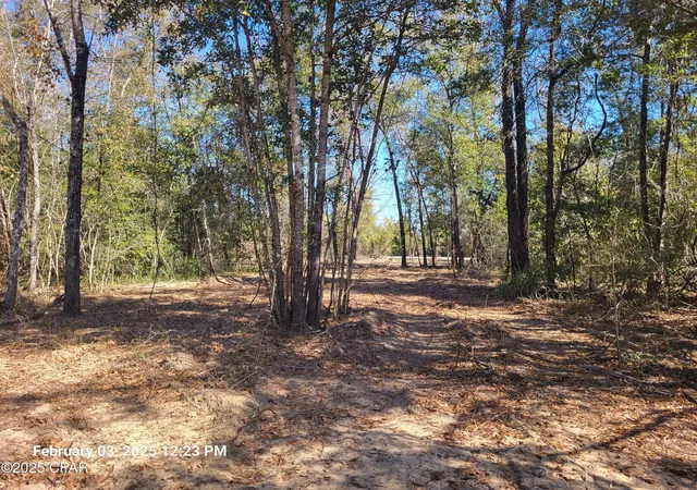 Land for sale at 00 Tommy Tucker Rd #Lot 3, Altha, FL 32421 | MLS# 751461