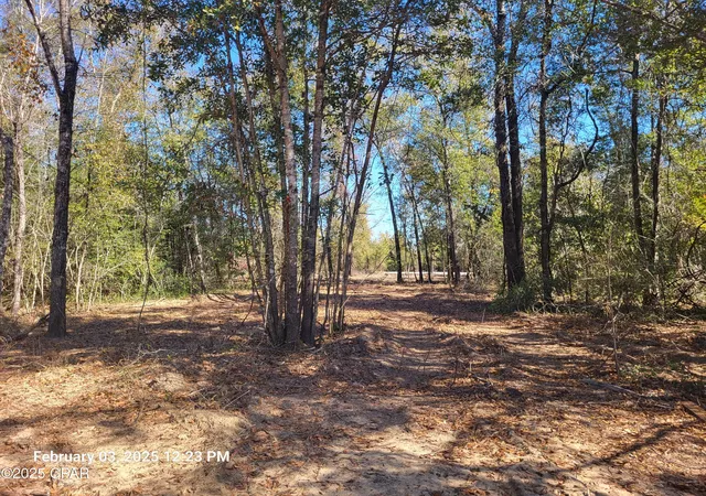 Photo 3 of Land for sale at 00 Tommy Tucker Rd #Lot 3, Altha, FL 32421 | MLS# 751461 | Listing updated on 2026-08-04