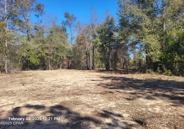 Photo 3 of Land for sale at 00 Tommy Tucker Rd #Lot 3, Altha, FL 32421 | MLS# 751461 | Listing updated on 2026-08-04