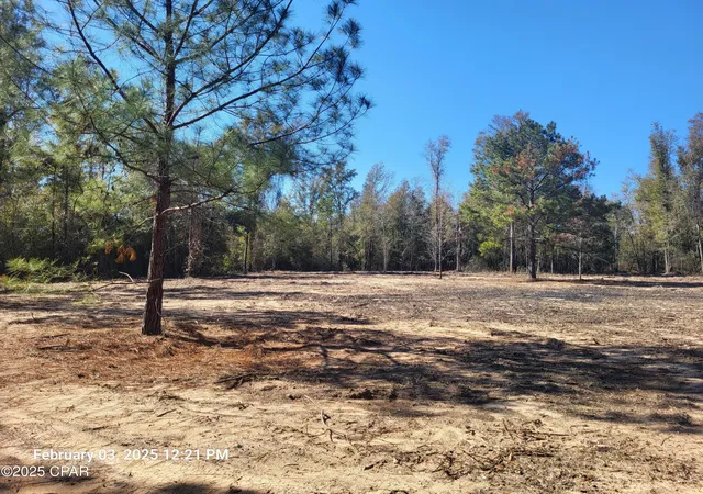 Photo 4 of Land for sale at 00 Tommy Tucker Rd #Lot 3, Altha, FL 32421 | MLS# 751461 | Listing updated on 2026-08-04
