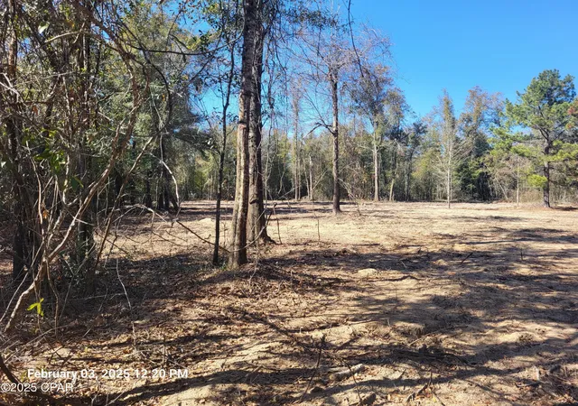 Land for sale at 00 Tommy Tucker Rd #Lot 2, Altha, FL 32421 | MLS# 751314