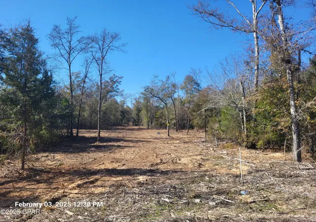 Photo 3 of Land for sale at 00 Tommy Tucker Rd #Lot 2, Altha, FL 32421 | MLS# 751314 | Listing updated on 2026-08-04