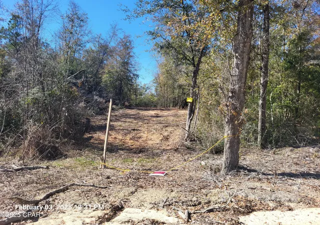 Land for sale at Lot NW 8 Womble Rd, Altha, FL 32421 | MLS# 769671