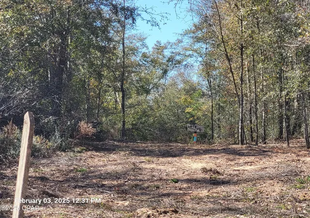 Photo 2 of Land for sale at Lot NW 8 Womble Rd, Altha, FL 32421 | MLS# 769671 | Listing updated on 2026-08-04