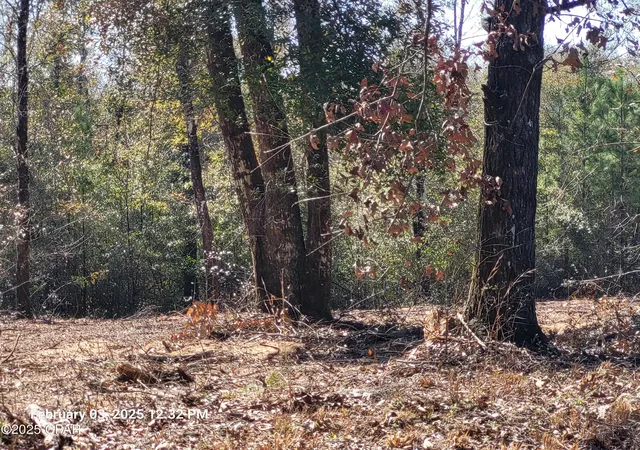 Photo 3 of Land for sale at 00 Nw Tommy Tucker Rd #Lot 1, Altha, FL 32421 | MLS# 750784 | Listing updated on 2026-08-04