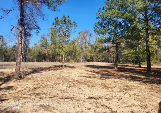 Photo 4 of Land for sale at 00 Nw Tommy Tucker Rd #Lot 1, Altha, FL 32421 | MLS# 750784 | Listing updated on 2026-08-04