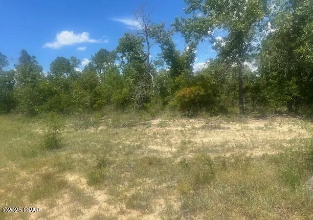 Photo 2 of Land for sale at Tbd Cachet Ct #9, Chipley, FL 32428 | MLS# 776128 | Listing updated on 2026-09-09