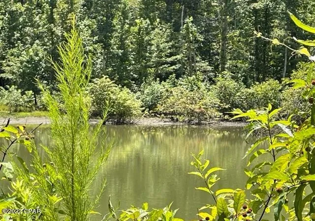 Photo 2 of Land for sale at 0 Skyview Rd, Marianna, FL 32446 | MLS# 762410 | Listing updated on 2026-08-24