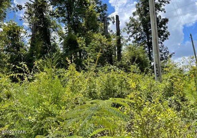 Photo 3 of Land for sale at 0 Skyview Rd, Marianna, FL 32446 | MLS# 762410 | Listing updated on 2026-08-24