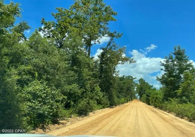 Photo 4 of Land for sale at 0 Skyview Rd, Marianna, FL 32446 | MLS# 762410 | Listing updated on 2026-08-24