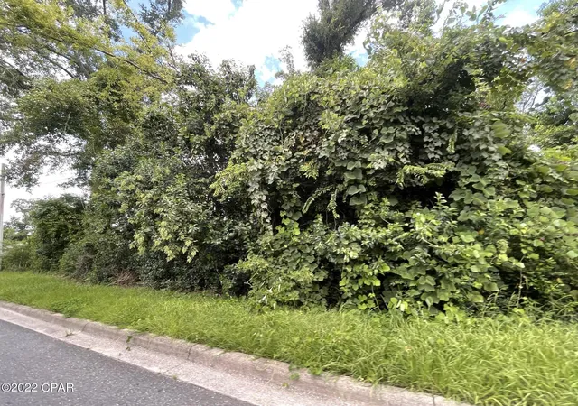 Photo 1 of Land for sale at 0 Kelson Ave, Marianna, FL 32446 | MLS# 767175 | Listing updated on 2026-08-24