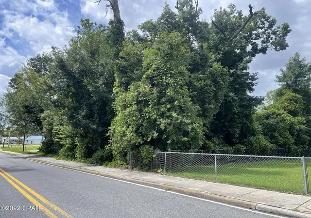 Photo 1 of Land for sale at 00 Carters Ml Rd, Marianna, FL 32446 | MLS# 767171 | Listing updated on 2026-08-24