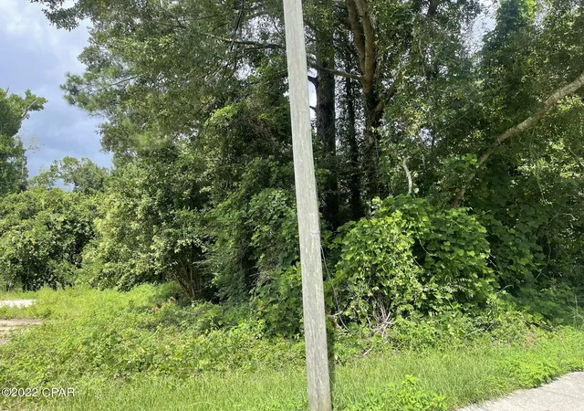 Photo 2 of Land for sale at 00 Carters Ml Rd, Marianna, FL 32446 | MLS# 767171 | Listing updated on 2026-08-24