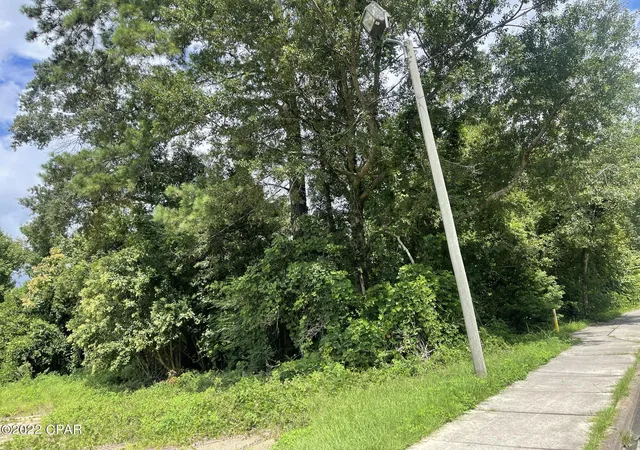 Photo 3 of Land for sale at 00 Carters Ml Rd, Marianna, FL 32446 | MLS# 767171 | Listing updated on 2026-08-24