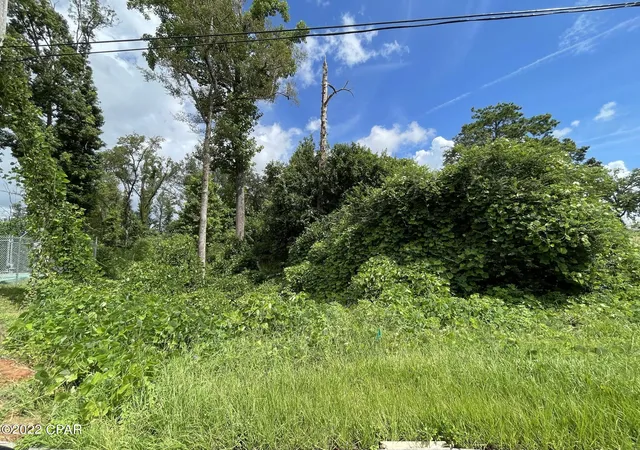 Photo 3 of Land for sale at 00 Carters Ml Rd, Marianna, FL 32446 | MLS# 767171 | Listing updated on 2026-08-24