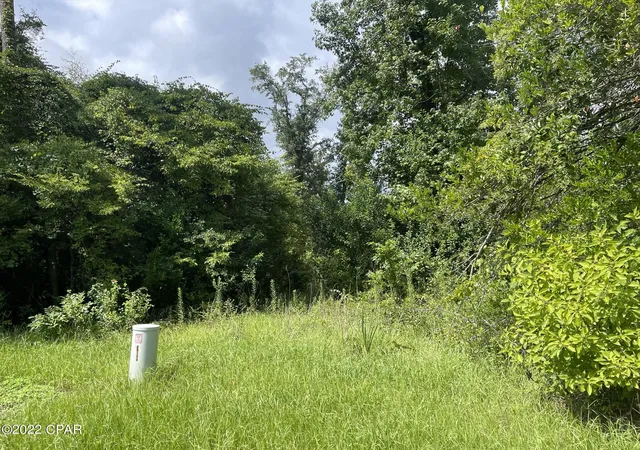 Photo 2 of Land for sale at 0 Carters Ml Rd, Marianna, FL 32446 | MLS# 767174 | Listing updated on 2026-08-24