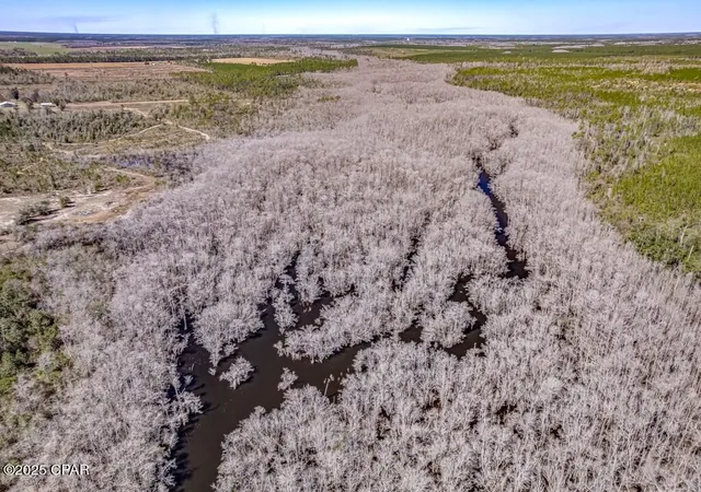 Photo 2 of Land for sale at 0 S Sr 71, Wewahitchka, FL 32465 | MLS# 774740 | Listing updated on 2026-09-12