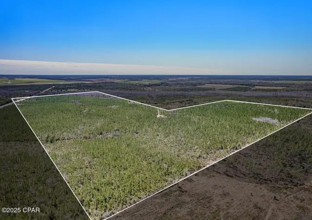 Photo 3 of Land for sale at 0 S Sr 71, Wewahitchka, FL 32465 | MLS# 774740 | Listing updated on 2026-09-12