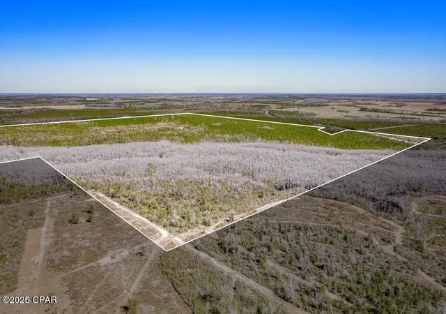 Photo 3 of Land for sale at 0 S Sr 71, Wewahitchka, FL 32465 | MLS# 774740 | Listing updated on 2026-09-12