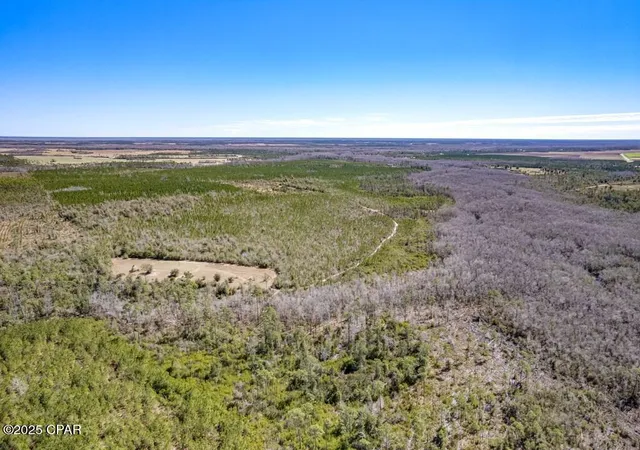 Photo 4 of Land for sale at 0 S Sr 71, Wewahitchka, FL 32465 | MLS# 774740 | Listing updated on 2026-09-12