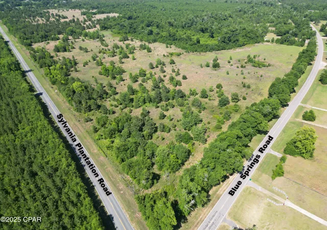 Photo 3 of Sale Pending at 0000 Blue Springs Rd, Greenwood, FL 32443 | MLS# 774935 | Listing updated on 2026-08-26