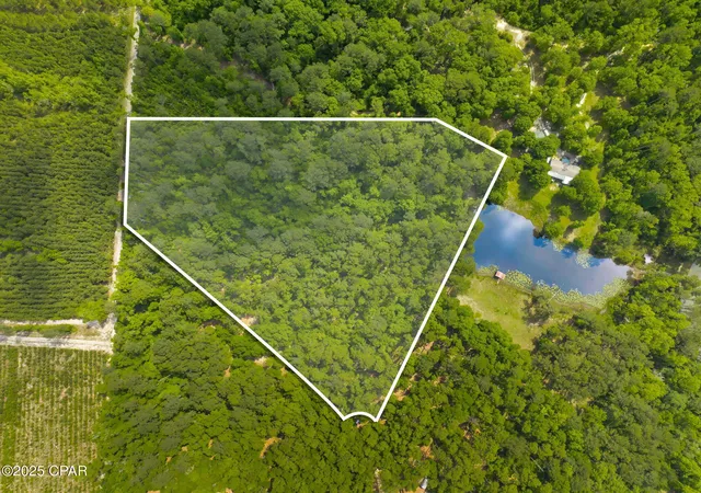 Photo 1 of Land for sale at 00 Corgi Ln, Chipley, FL 32428 | MLS# 772533 | Listing updated on 2026-09-17
