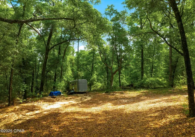 Photo 3 of Land for sale at 00 Corgi Ln, Chipley, FL 32428 | MLS# 772533 | Listing updated on 2026-09-17