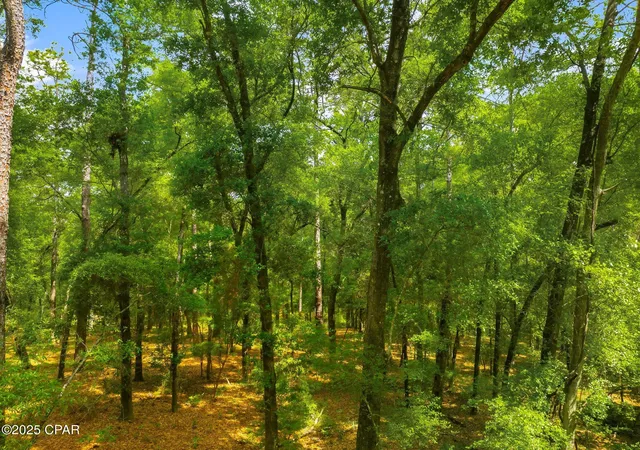 Photo 3 of Land for sale at 00 Corgi Ln, Chipley, FL 32428 | MLS# 772533 | Listing updated on 2026-09-17