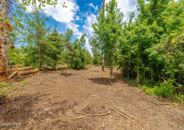 Photo 4 of Land for sale at Lot F Osprey Point, Panama City, FL 32409 | MLS# 775830 | Listing updated on 2026-09-05