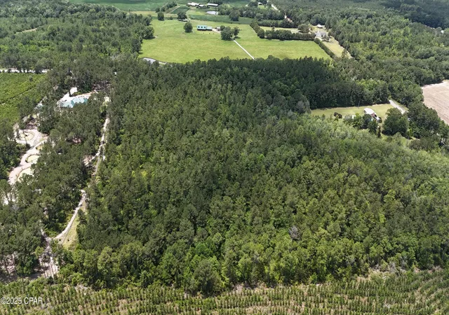 Photo 3 of Land for sale at 00 N Highway 79, Bonifay, FL 32425 | MLS# 774411 | Listing updated on 2026-07-31