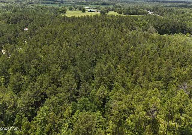Photo 4 of Land for sale at 00 N Highway 79, Bonifay, FL 32425 | MLS# 774411 | Listing updated on 2026-07-31