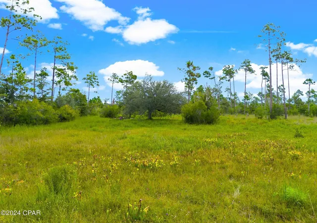 Photo 1 of Land for sale at 00 Harville Dr, Panama City, FL 32404 | MLS# 763133 | Listing updated on 2026-09-17
