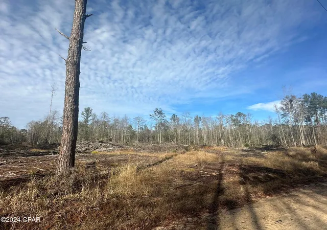 Photo 3 of Land for sale at Tract 6331 Sellers Rd, Bonifay, FL 32425 | MLS# 777842 | Listing updated on 2026-09-08