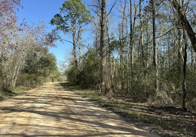 Photo 1 of Land for sale at Tract#6317 Harris Stevenson Rd, Bonifay, FL 32425 | MLS# 777852 | Listing updated on 2026-09-08