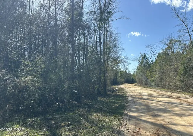 Photo 2 of Land for sale at Tract#6317 Harris Stevenson Rd, Bonifay, FL 32425 | MLS# 777852 | Listing updated on 2026-09-08