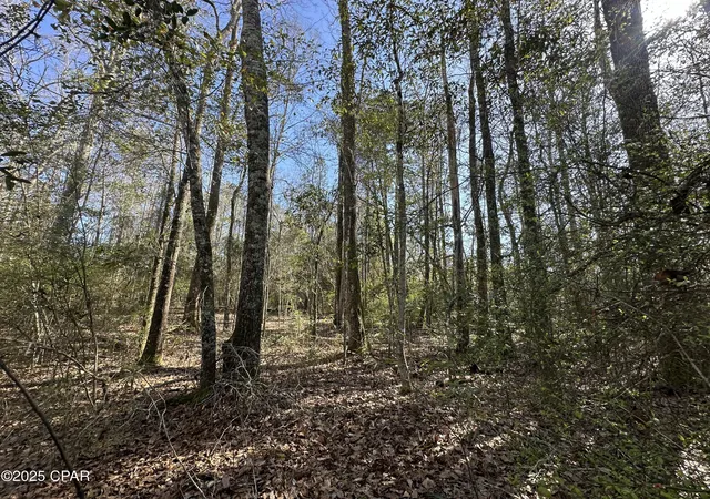 Photo 3 of Land for sale at Tract#6317 Harris Stevenson Rd, Bonifay, FL 32425 | MLS# 777852 | Listing updated on 2026-09-08