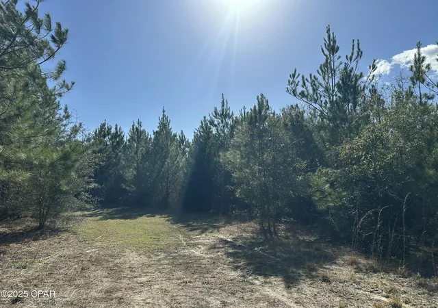 Photo 4 of Land for sale at Tract#6317 Harris Stevenson Rd, Bonifay, FL 32425 | MLS# 777852 | Listing updated on 2026-09-08
