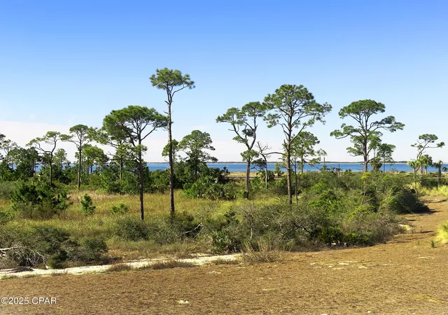 Photo 3 of Sale Pending at 204 Pond Cypress Cvs, Port Saint Joe, FL 32456 | MLS# 777904 | Listing updated on 2026-09-10