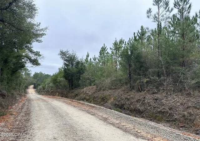 Photo 3 of Sale Pending at Tract#6418 Bryant Bay Rd, Caryville, FL 32427 | MLS# 778033 | Listing updated on 2026-08-31