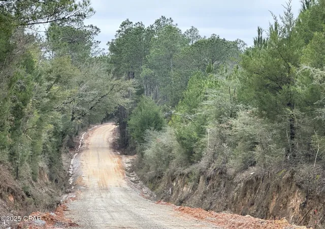 Photo 3 of Sale Pending at Tract#6418 Bryant Bay Rd, Caryville, FL 32427 | MLS# 778033 | Listing updated on 2026-08-31