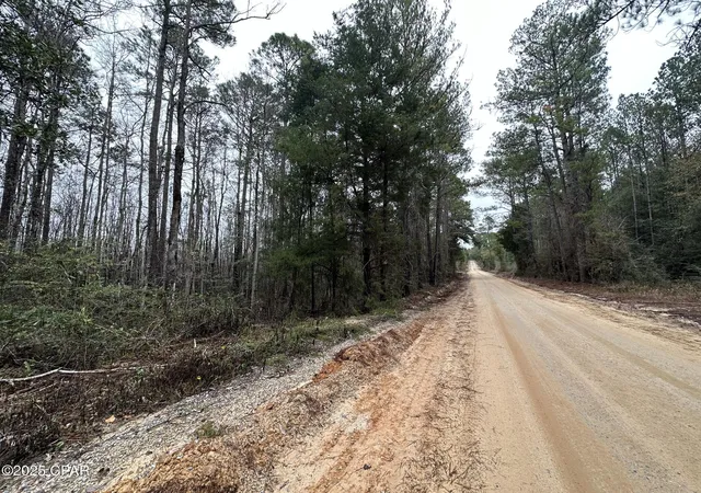 Photo 4 of Sale Pending at Tract#6418 Bryant Bay Rd, Caryville, FL 32427 | MLS# 778033 | Listing updated on 2026-08-31
