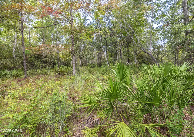 Photo 3 of Land for sale at Lot 77 Harbour Trace, Freeport, FL 32439 | MLS# 778626 | Listing updated on 2026-10-05