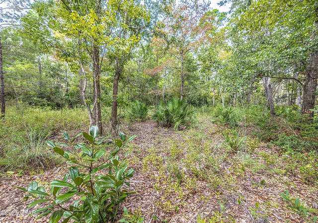 Photo 4 of Land for sale at Lot 77 Harbour Trace, Freeport, FL 32439 | MLS# 778626 | Listing updated on 2026-10-05