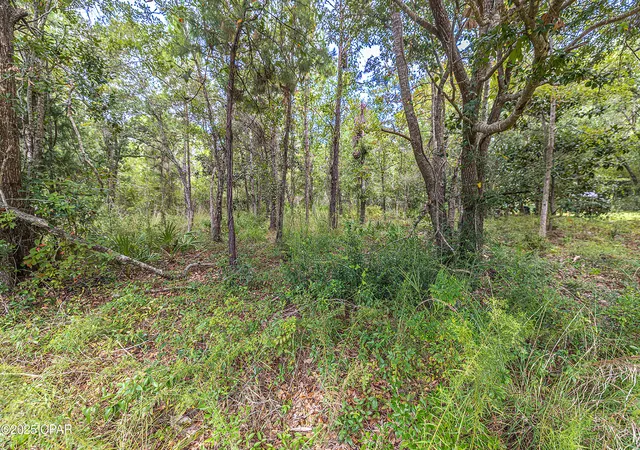 Photo 2 of Land for sale at Lot 76 Harbour Tr, Freeport, FL 32439 | MLS# 778634 | Listing updated on 2026-08-11
