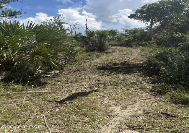 Photo 3 of Land for sale at 0 County Rd 30a, Port St Joe, FL 32456 | MLS# 778890 | Listing updated on 2026-09-11